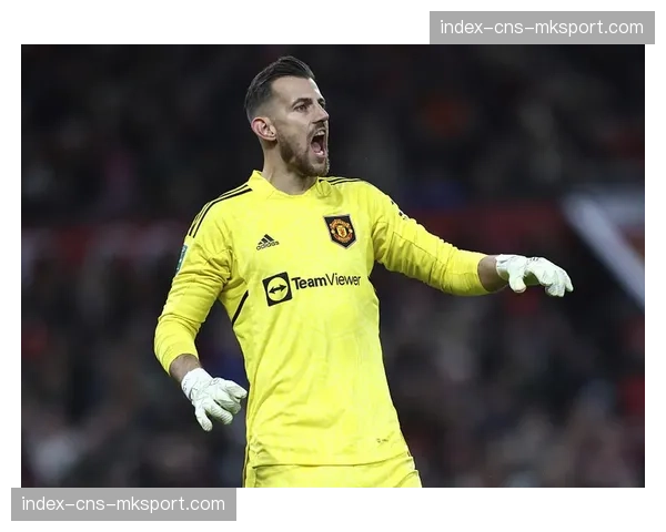 纽卡斯尔联主力门将波普因肩伤赛季报销